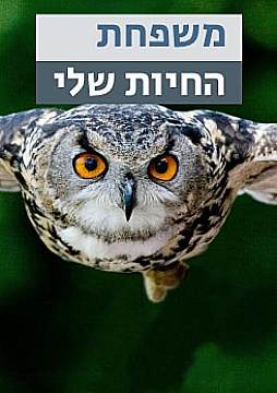 צפייה בסרט המלא משפחת החיות שלי - ינשוף - צפייה בטריילר