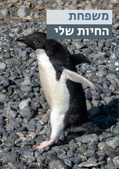 משפחת החיות שלי - פינגווין