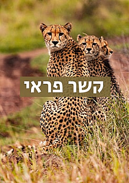 צפייה בסרט המלא - קשר פראי - שמורת הברדלסים