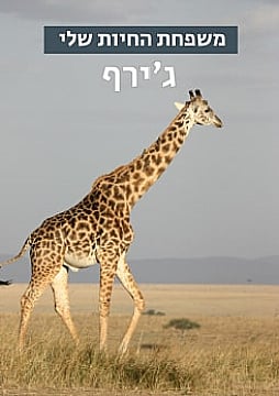 צפייה בסרט המלא - משפחת החיות שלי - ג'ירף