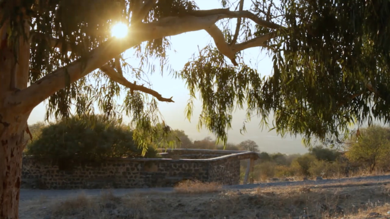צפייה בסרט המלא - מצב מצור - לצפיה בטריילר
