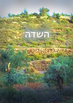 צפייה בסרט המלא - השדה