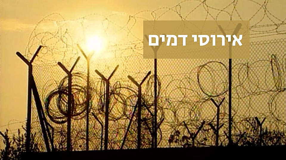 צפייה בסרט המלא אירוסי דמים - צפייה בטריילר
