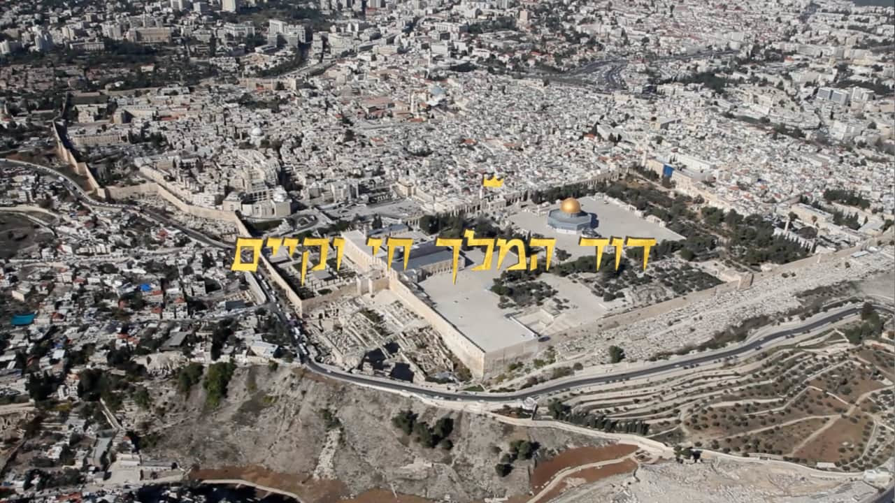 צפייה בסרט המלא דוד המלך חי וקיים - צפייה בטריילר