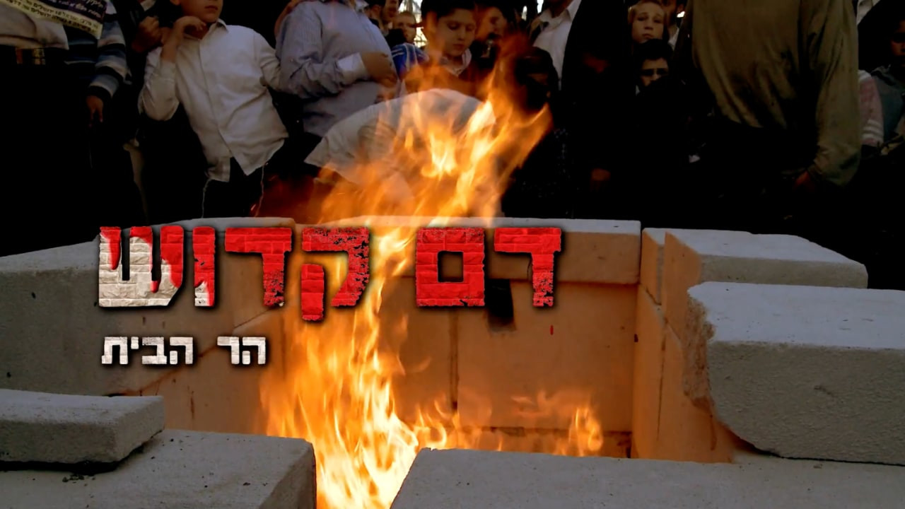 צפייה בסרט המלא - דם קדוש: הר הבית - לצפיה בטריילר