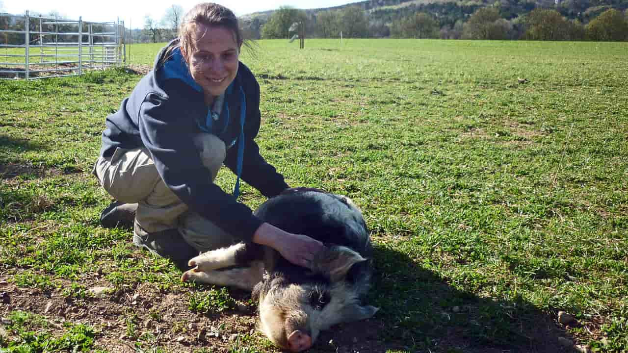 צפייה בסרט המלא -  מה מרגישות חיות - לצפיה בטריילר