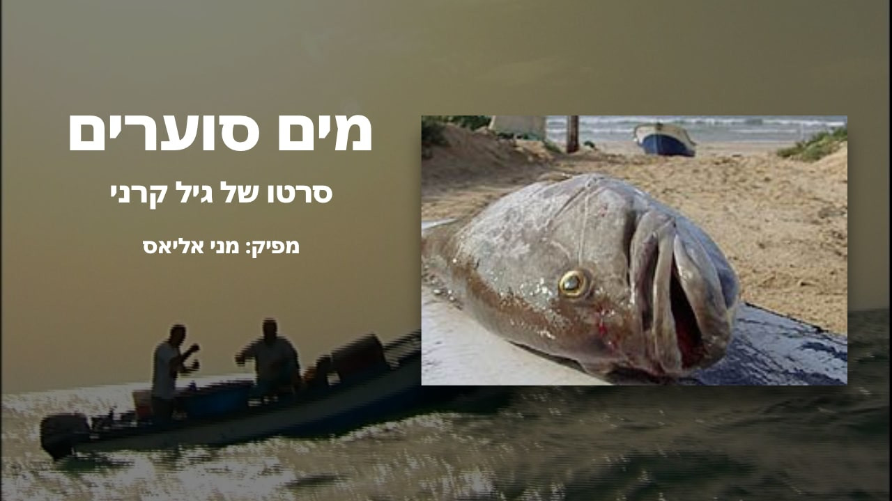 צפייה בסרט המלא מים סוערים // סרט ומפגש עם הבמאי - צפייה בטריילר