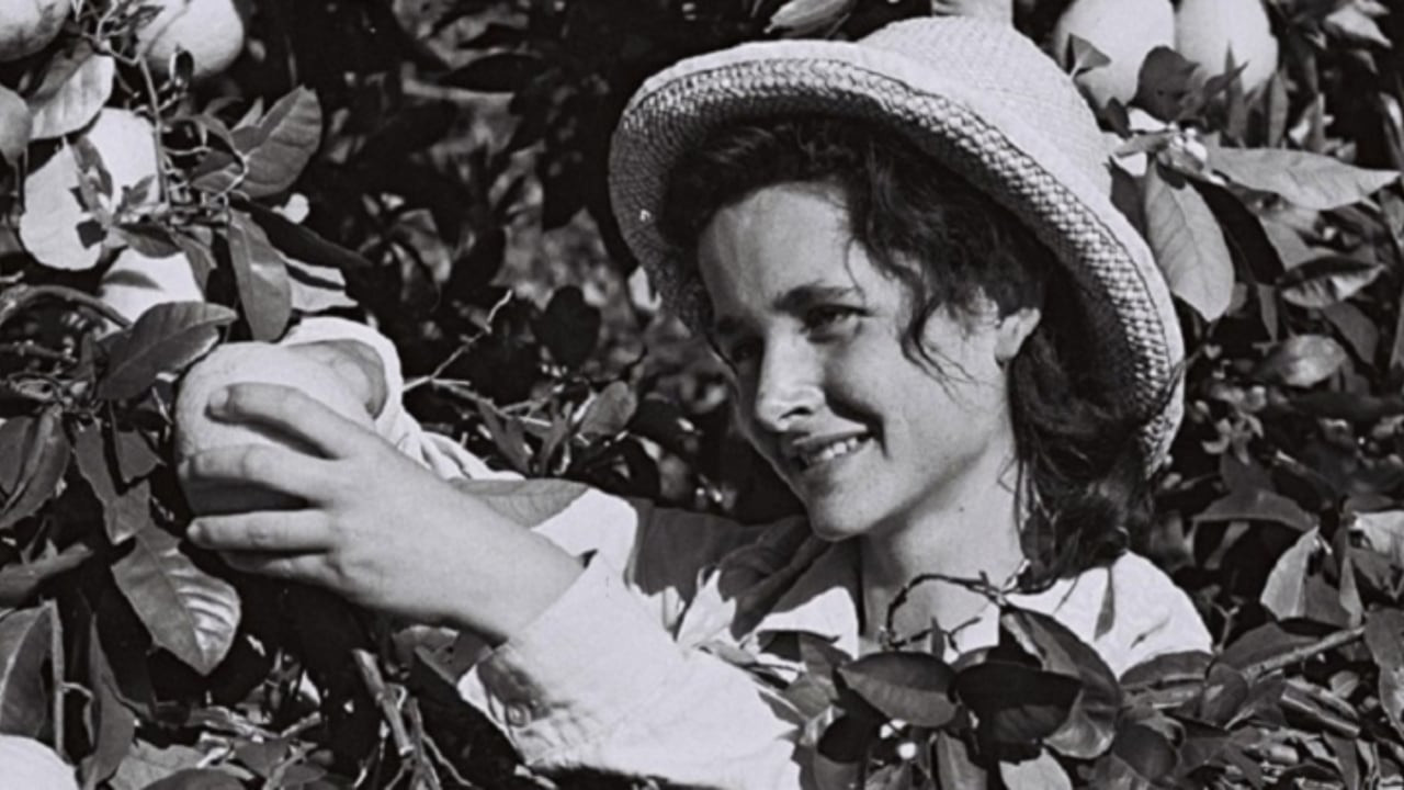 צפייה בסרט המלא - ג׳אפה - סיפורו של מותג - לצפיה בטריילר