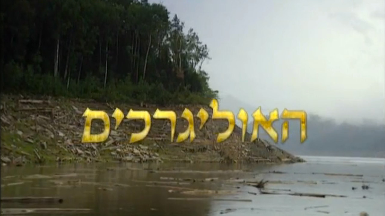 צפייה בסרט המלא האוליגרכים: קרב אחרון - צפייה בטריילר